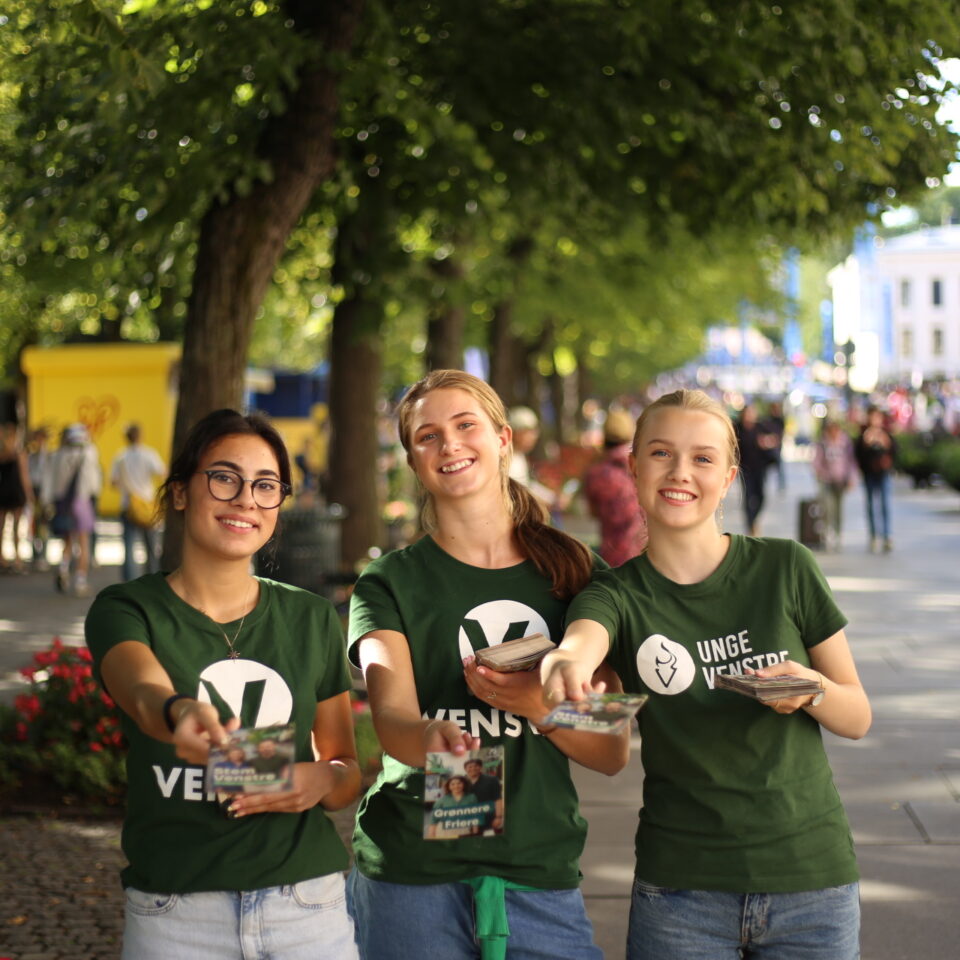 Unge venstre under valgkampen 23