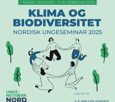 Illustrasjon om Nordisk ungeseminar 2025 om klima og biodiversitet. Tegningen viser fem mennesker som holder hender i en ring, og trær.